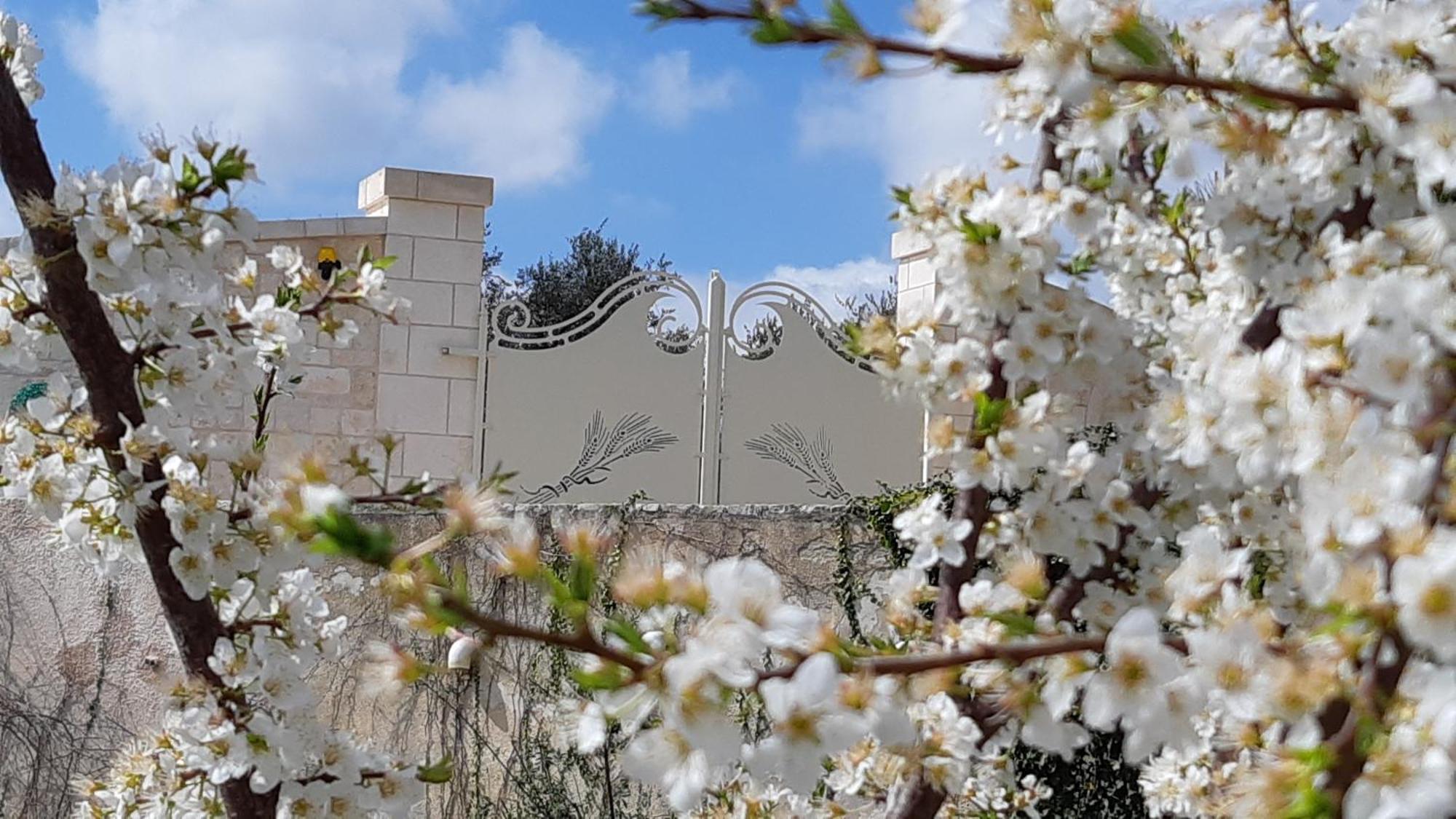 Villa Karmel Valle D'Itria Cisternino Kültér fotó