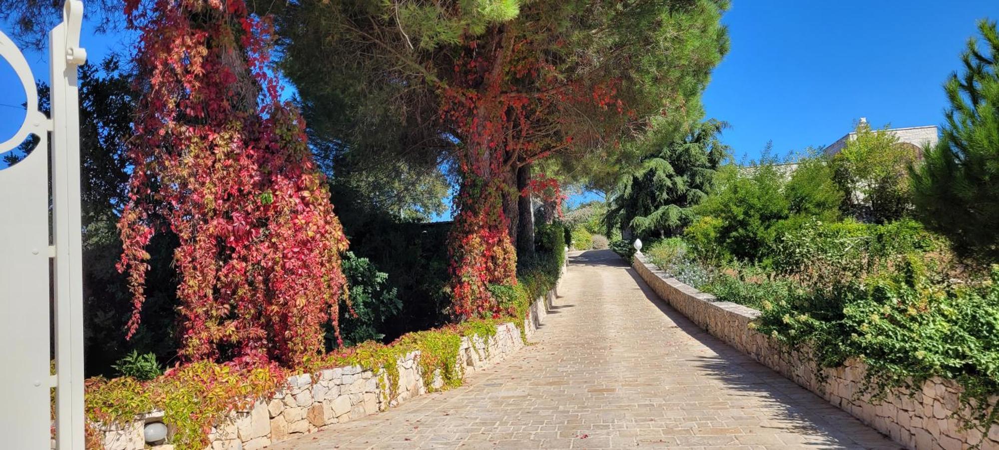 Villa Karmel Valle D'Itria Cisternino Kültér fotó