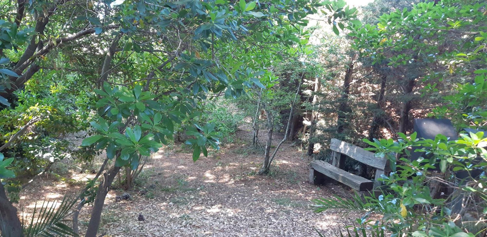 Villa Karmel Valle D'Itria Cisternino Kültér fotó